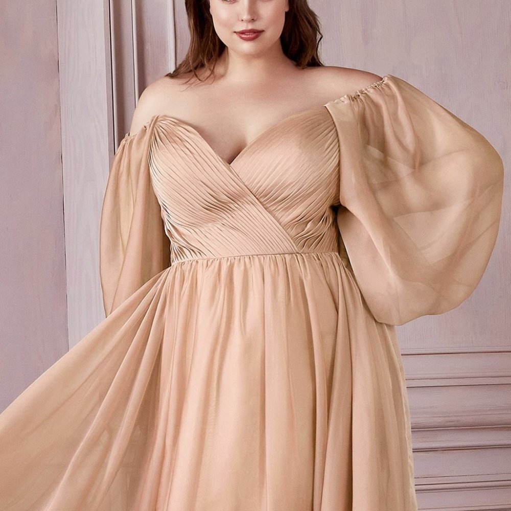PLS SIZE CHAMPAGNE EVENING WEDDING LONG SLEEVE FORMAL CHIFFON A-LINE DRESS CD243